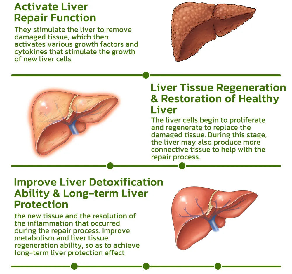 GFOUK Vegan Liver Cleaning Nasal Herbal Box