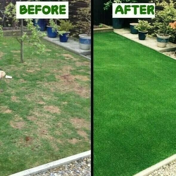 Grass Seed Mat: The Perfect Solution For Your Lawn Problems